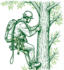 Tree Trimming Services